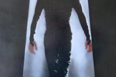 The Crow By Eikel On DeviantArt