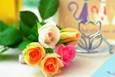 Beautiful Rose Flowers HD Wallpapers