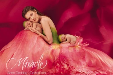 Celine Dion And Babies   Sweety Babies Wallpapers (8130920)   Fanpop