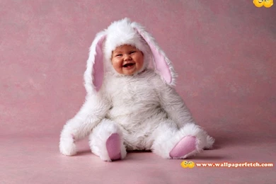 Pic New Posts: 5d Wallpapers For PC