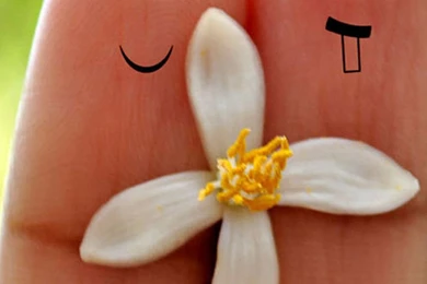 Cute Love Cartoon Couple Fingers iPhone 6 Wallpapers Download ...