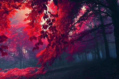 Hd Abstract Wallpapers, Colorful Backgrounds, Widescreen Images ...