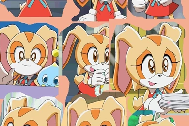 Cream The Rabbit Sonic X By AleksandraCageletCom On DeviantArt