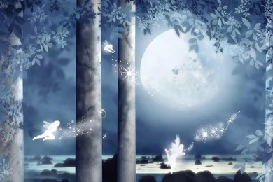 Wallpaper, Fairy, Moon, Wallpapers, Forrest, Blue, Mobile   2016291