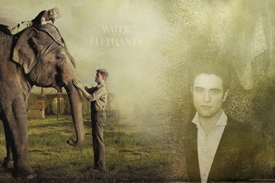 Water For Elephants Wallpapers   Water For Elephants Wallpapers ...