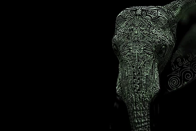 Desktop pics of pink elephants download.jpg