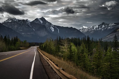 Jasper Alberta Canada Canadian Rockies Mountain Road Forest Trees ...