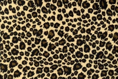 LAKELAND DERBY DAMES » Roller Derby Wallpaper.jpg