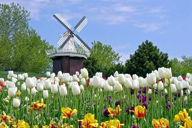 Index Of /wp content/uploads/2015/11/