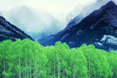 FANTASTIC VIEW OF THE CANADIAN ROCKIES WALLPAPER   (