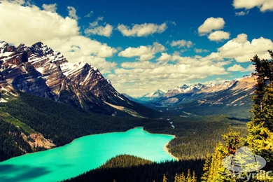 Jasper National Park The Largest Park In Canadian Rockies