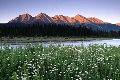 Canadian Rockies   1753183