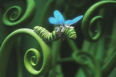 20 Cool Wallpapers To Put On Your Desktop