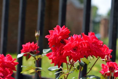 Hd Images, Nature, Sky, Fresh Air, Photos, Widescreen, Download ...