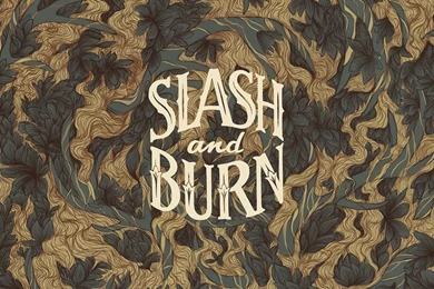 The Studio Of Adam Warner