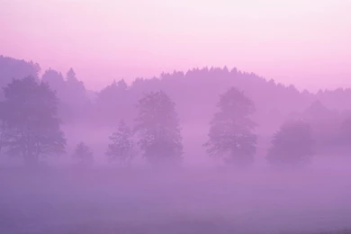 Mac OS X Poppy Wallpapers