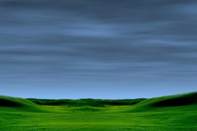 Bliss Royale Theme Wallpapers