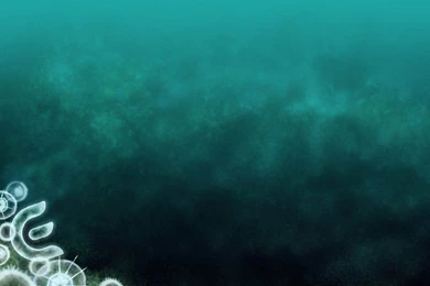 Cool Free Website Backgrounds   ...  wallpapers.info/photo ...