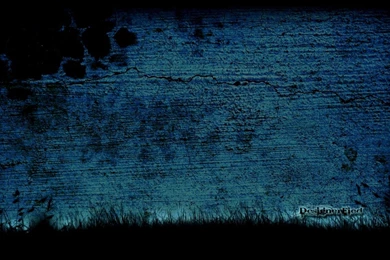 Website Of Wallpapers