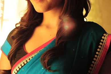 Beautiful Rashi In Aqua Saree   123mobileWallpapers.com