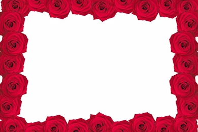 Pictures > Powerpoint Backgrounds Rose