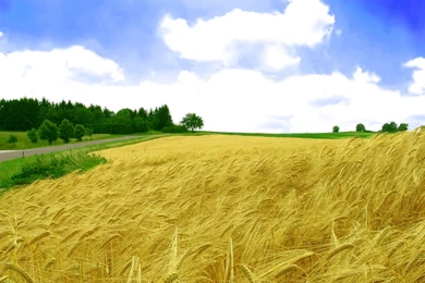 Free hd wallpapers for your phone 3D.jpg