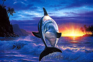 Dog Wallpapers Image