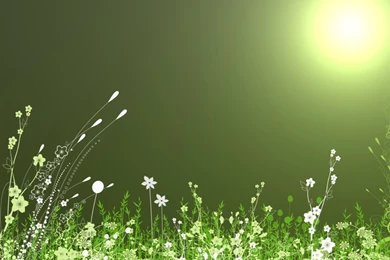 Free Wallpapers For My Phone   HD Wallpapers Lovely