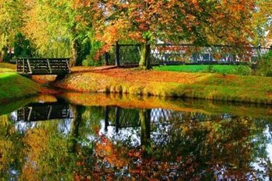 Free Autumn Screensavers Wallpapers   Wallpapers Cave