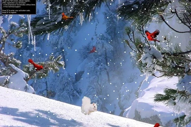 Winter Screensavers And Wallpapers   Wallpapers Cave