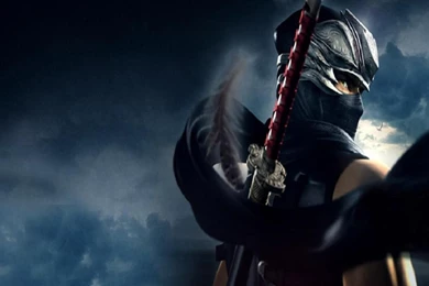 RYU HAYABUSA WALLPAPER   (