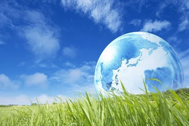 Free Wallpapers   Free Nature Wallpapers   Wonderful Green Nature ...