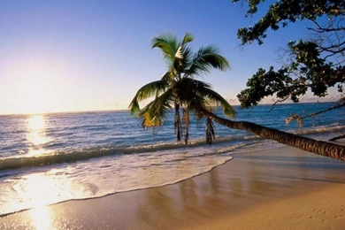 Nature Wallpapers, Nature Backgrounds, View, Widescreen, Mac ...