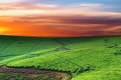 HTC Wallpapers, HTC Backgrounds