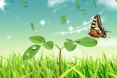 Cute Black Wallpapers   Download Free Cute Black Friendship ...