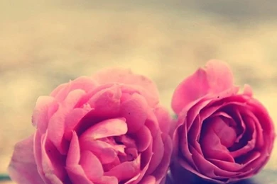 Most Popular Love Clean iPhone 5s Wallpapers