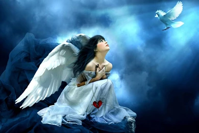 Angel Hd Hq Wallpapers Free Download
