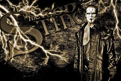 Wcw Sting   1791467