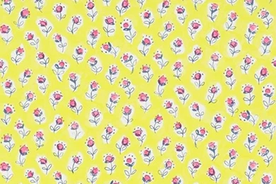 Daisy Patch Wallpapers From Designers Guild
