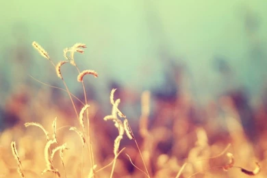 Nature , Extraordinary Wallpapers   Galleria   Wallpapers For All