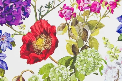 Alexandria Wallpapers By Designers Guild