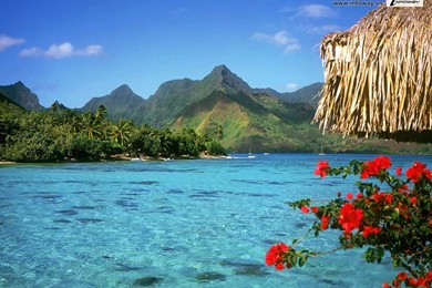 Nature Beach   Photo 262 Of 346