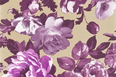 Roseus   Damson Wallpapers
