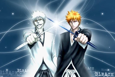 Gallery For   Bleach Wallpapers Ichigo