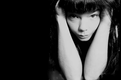 Björk Voice: MEDÚLLA (2004)