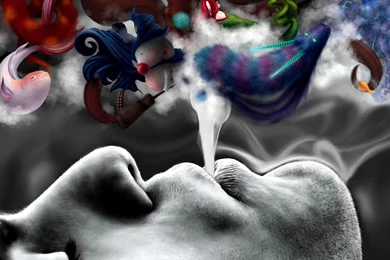 HD Desktop Wallpapers 1600x900 Best HD Desktop Wallpapers 1080p HD ...