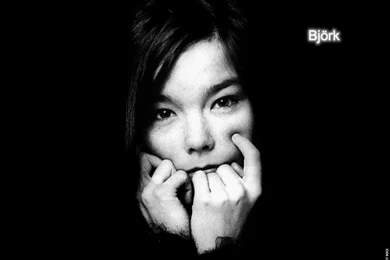 Bjork Photos   HisBir