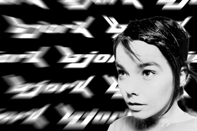 Bjork Wallpapers And Images   Wallpapers, Pictures, Photos