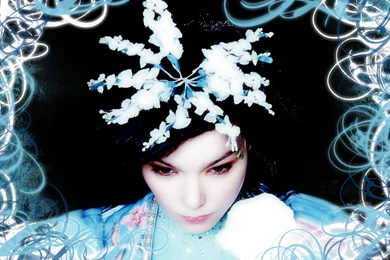 Bjork Wallpapers By Ayaspiralout On DeviantArt