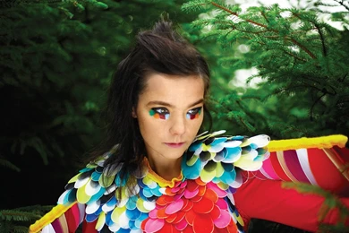Bjork Photo, Pics, Wallpapers   Photo